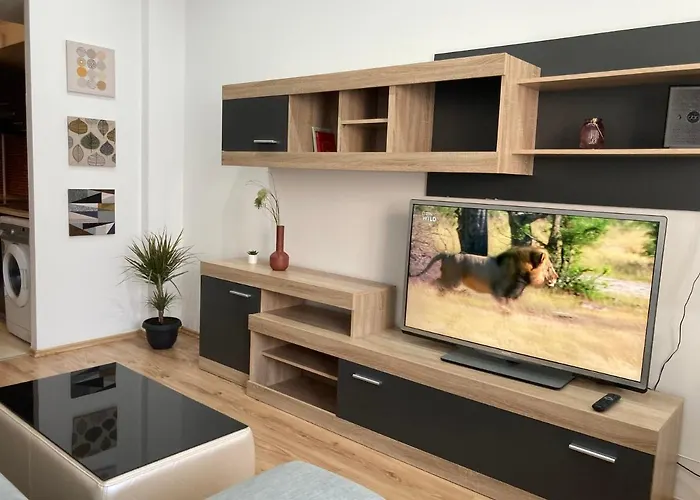 Laroka House Rin Grand Residence Modern Apartment