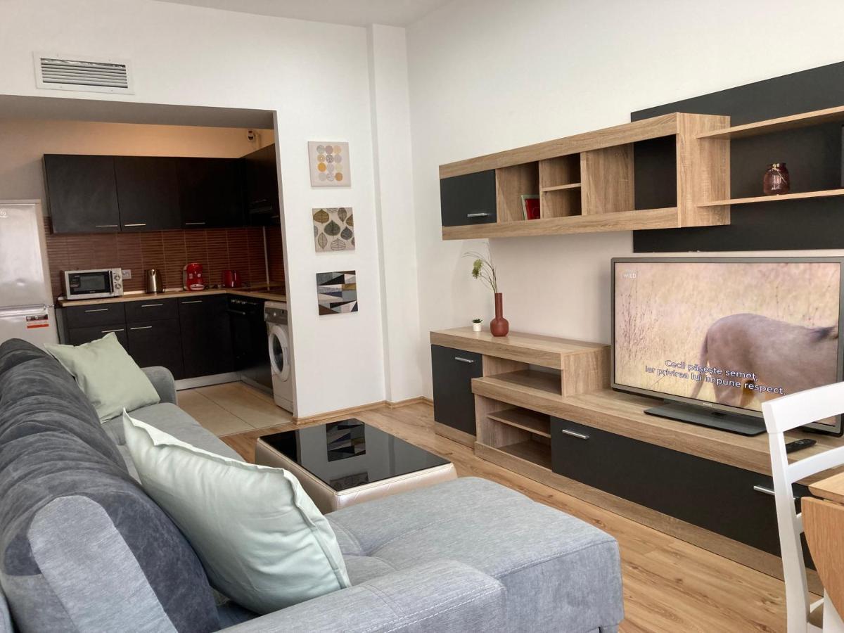 Laroka House Rin Grand Modern * Bucarest